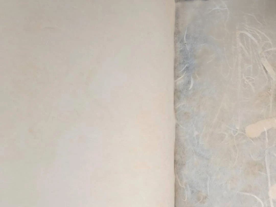 能 金子桂三 増田正造 毎日新聞社 大型本 昭和49年 定価35,000円