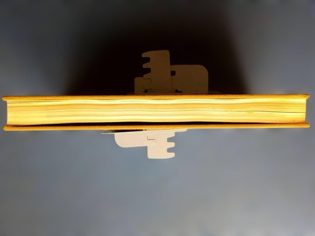 能 金子桂三 増田正造 毎日新聞社 大型本 昭和49年 定価35,000円