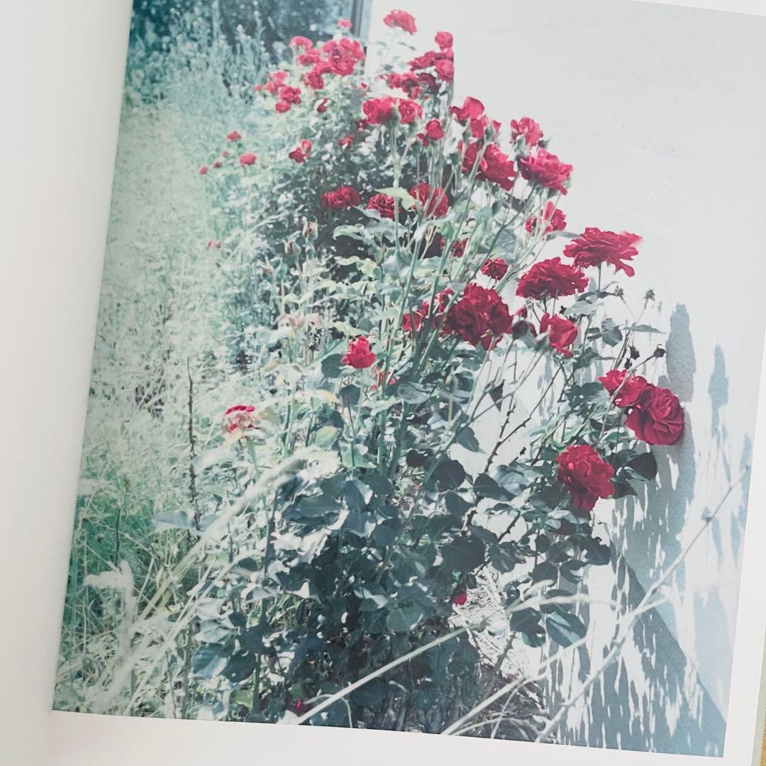 Holding Anna Clarén 希少洋書写真集