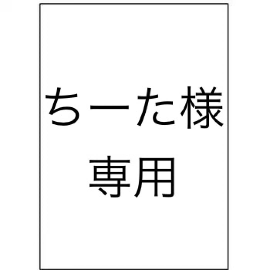 ちーた　プラダ ショルダーバッグ