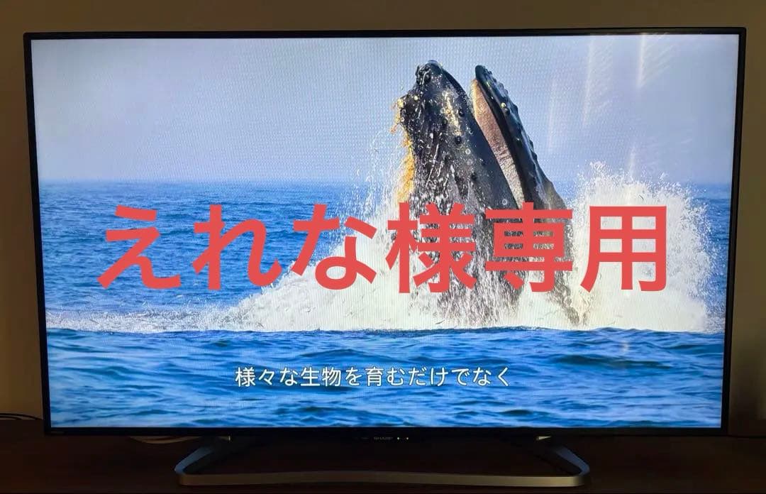 （専用）【発送日限定】SHARP AQUOS 液晶テレビ LC-50W30