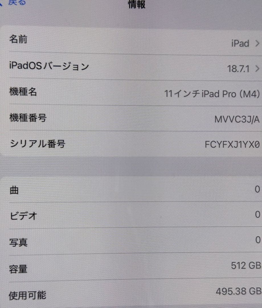 iPad Pro (M4)11インチ WiFiモデル 512GBおまけ付き