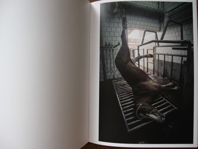 Mariusz Forecki　マリウス・フォレチキ　限定550部