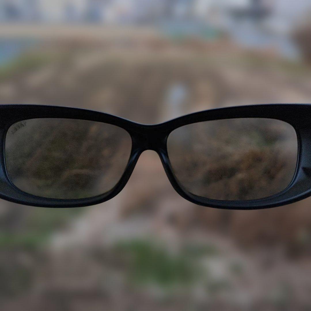 DAIWA ダイワ TALEX サングラス 偏光グラス トゥルービュースポーツ