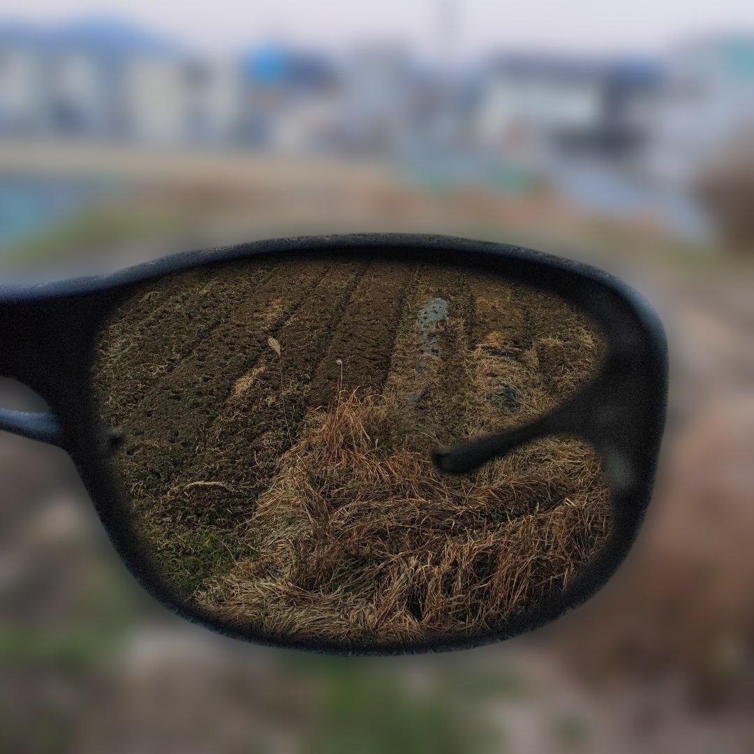 DAIWA ダイワ TALEX サングラス 偏光グラス トゥルービュースポーツ