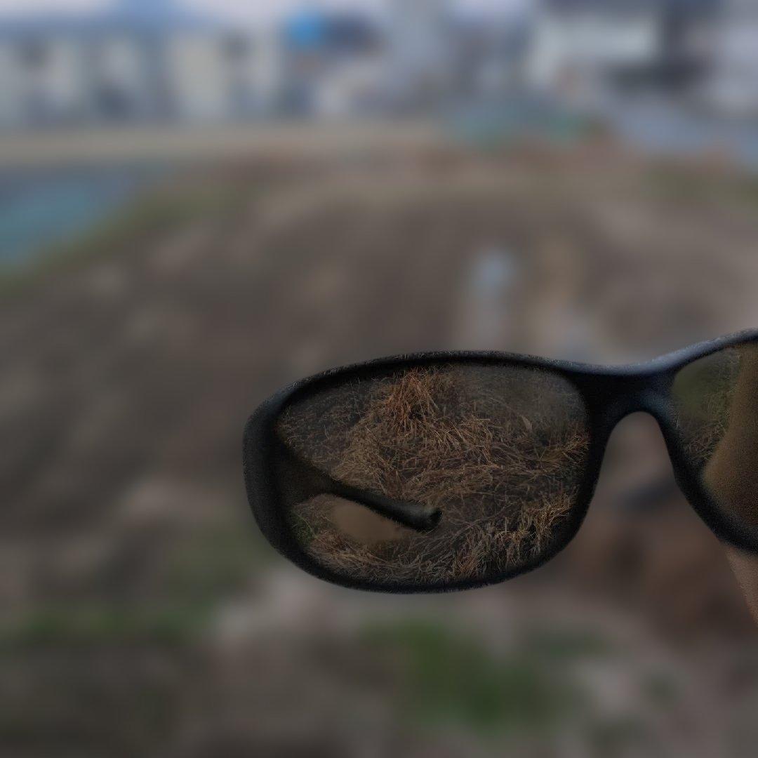 DAIWA ダイワ TALEX サングラス 偏光グラス トゥルービュースポーツ