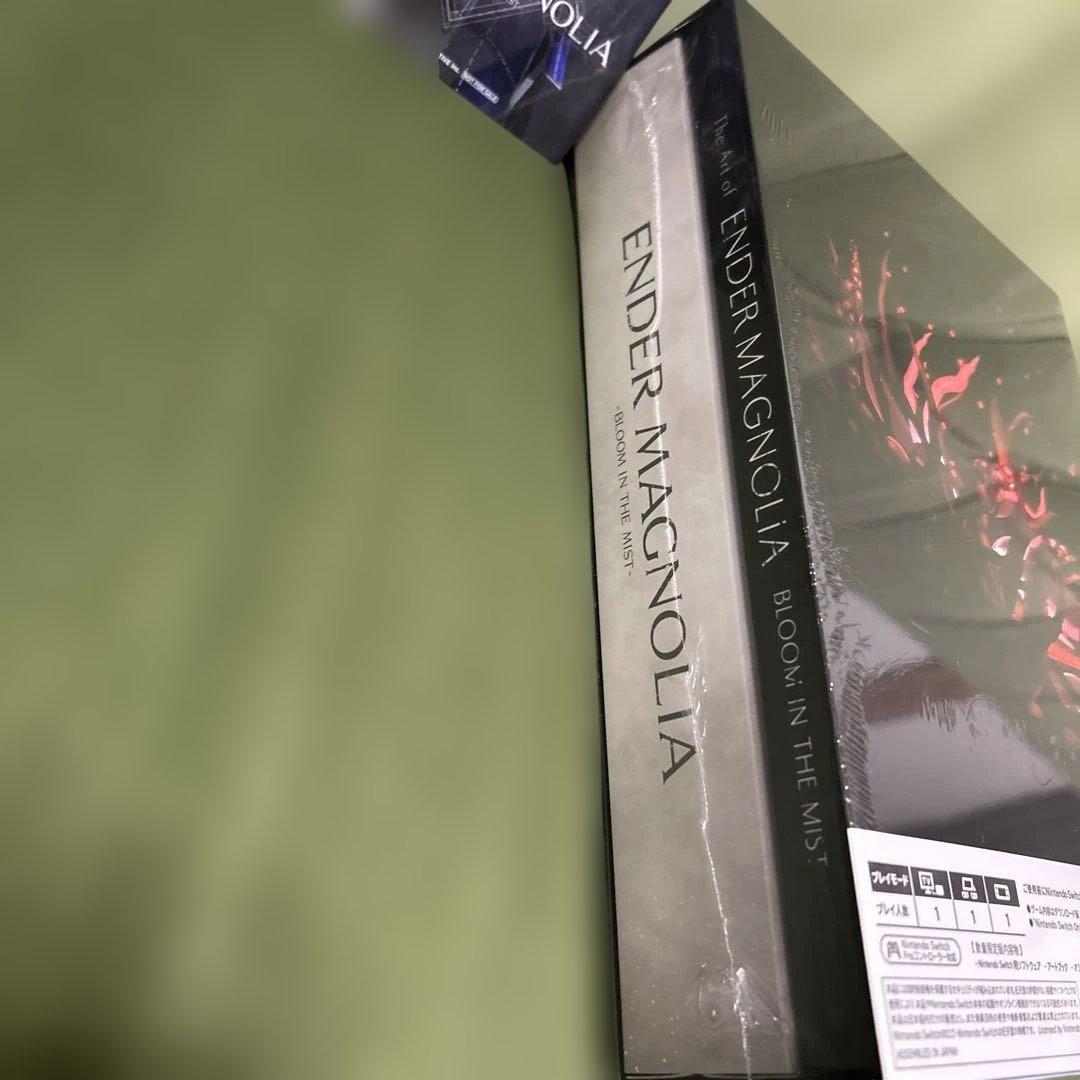 Nintendo Switch ENDER MAGNOLIA: BLOOM IN THE MIST