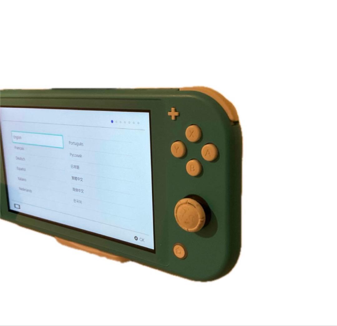 swichライト　とケース　画面保護シートのセット