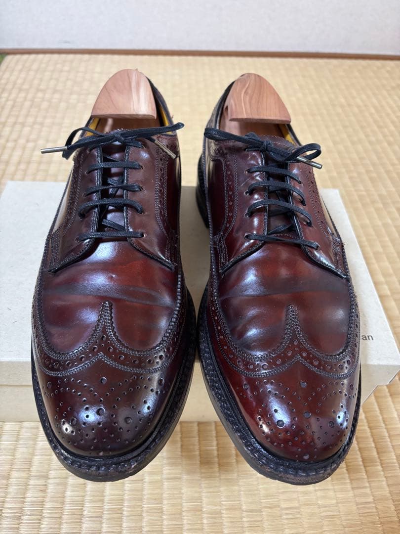 【らいおん】フローシャイムインペリアル　ケンムーアコードバン