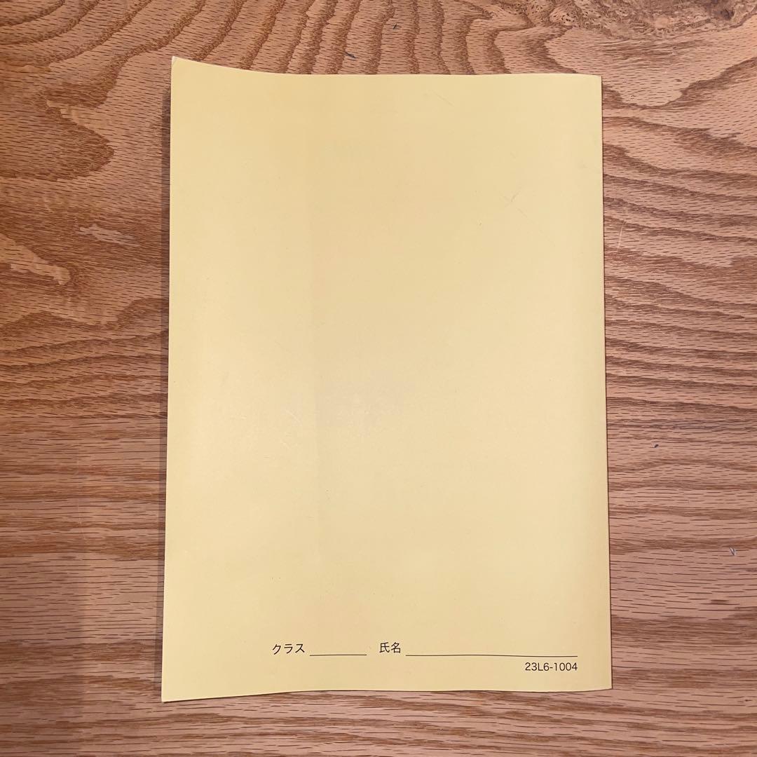 鉄緑会　高3地理　東大地理問題集　問題篇　& 解答解説篇