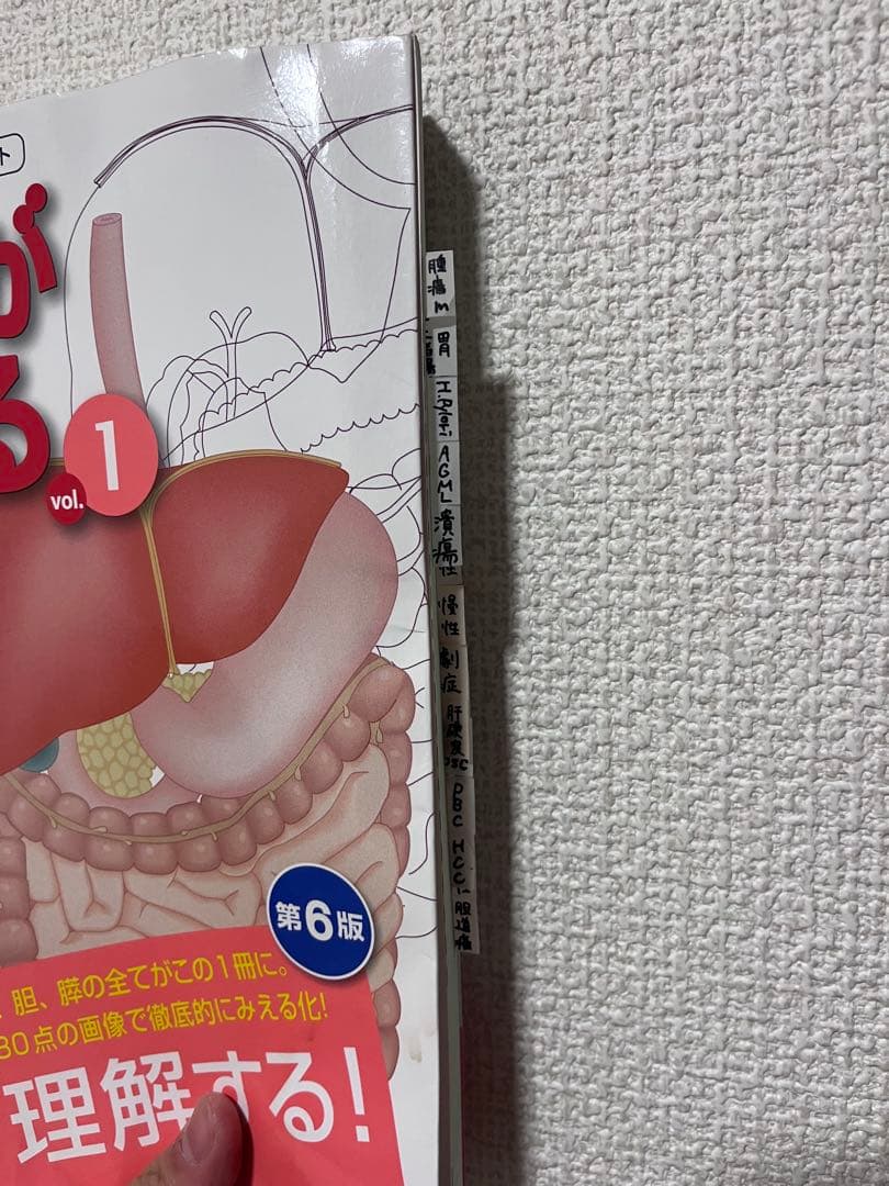 【病気がみえる 1-15 全巻セット】 状態良