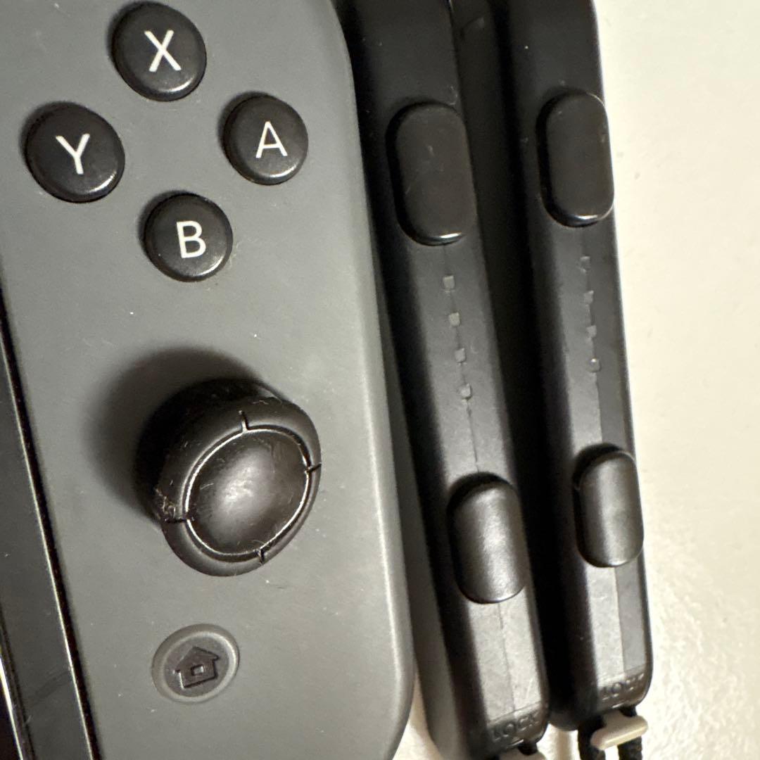 Nintendo Switch 本体 ジョイコン ケーブル ドッグ