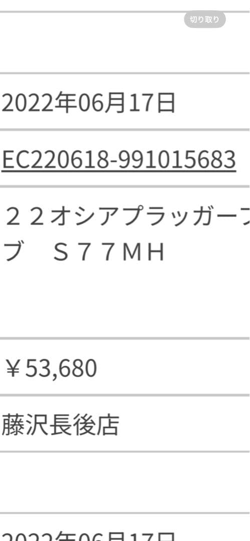 OCEA PLUGGER S77MH ロッド キャリーケース付き