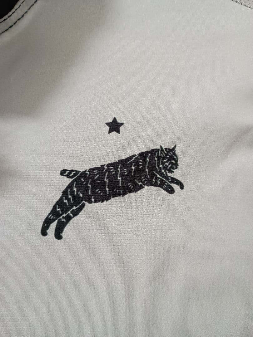 TEAM DREAM BICYCLING TEAM サイクルジャージ