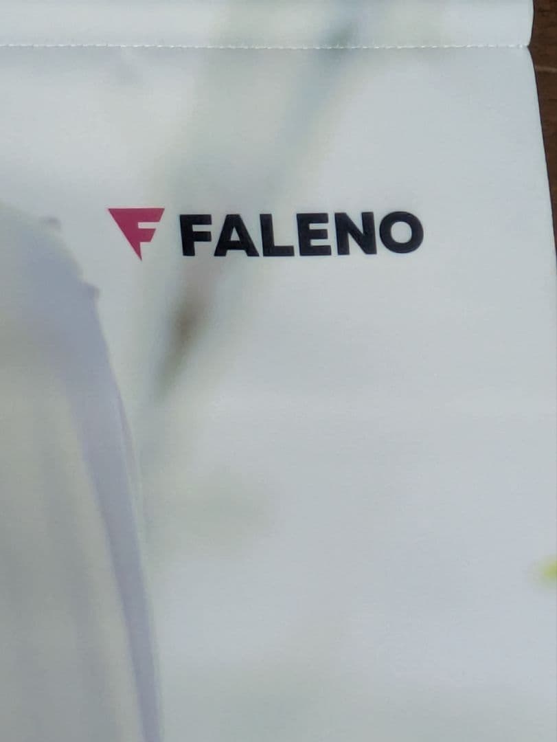 す*が様 【激レアな一品】二階堂夢（本郷愛） タペストリー