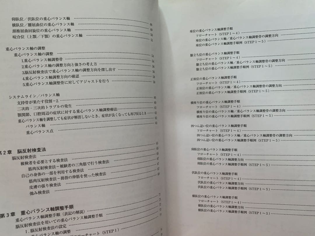重心バランス軸調整療法 I.姿勢と重心バランス軸
