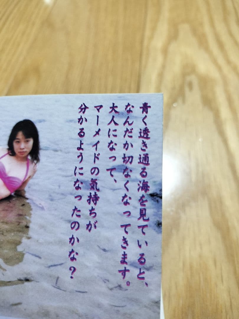 池松江美(辛酸なめ子)　自主制作本　グラビア中心/マンガ中心　2種セット