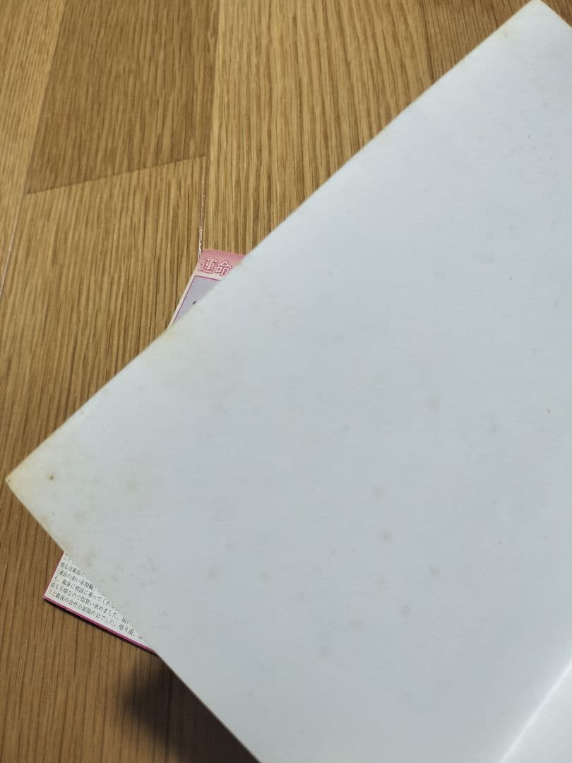 池松江美(辛酸なめ子)　自主制作本　グラビア中心/マンガ中心　2種セット