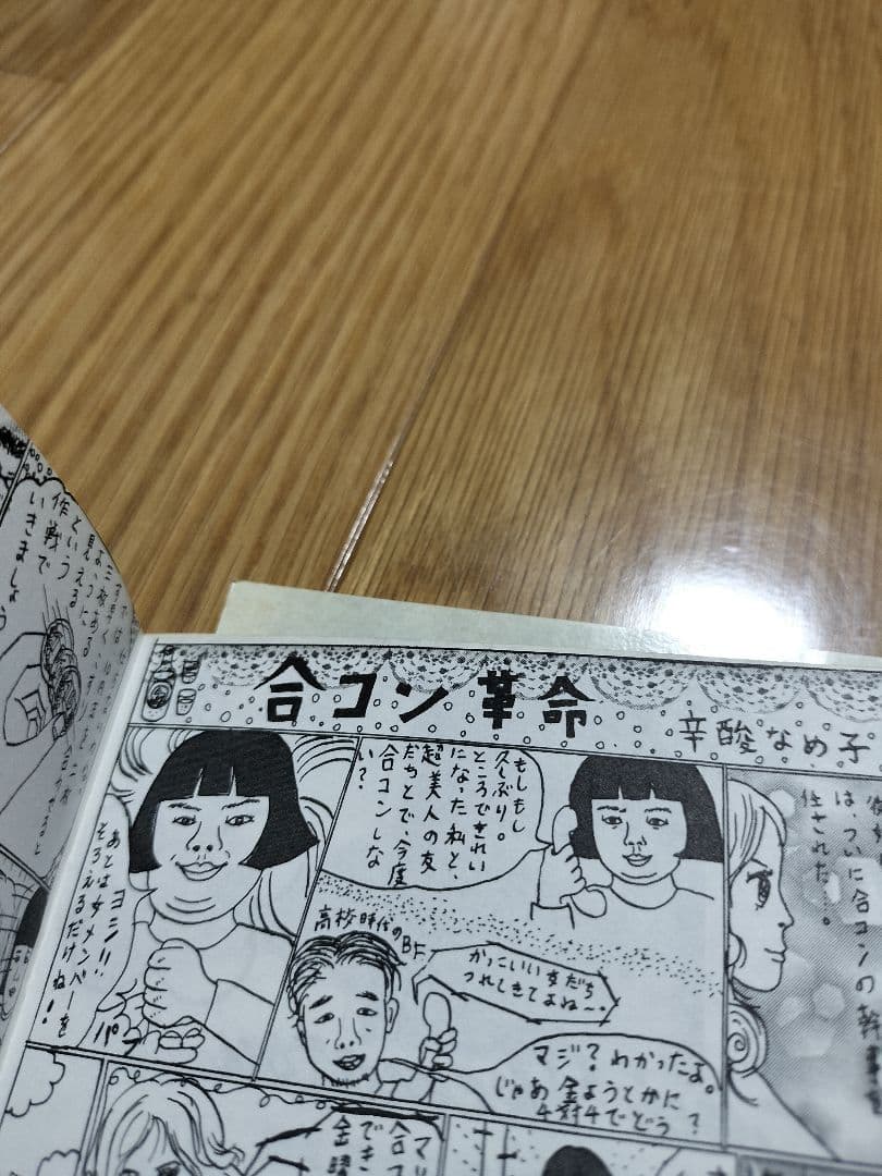 池松江美(辛酸なめ子)　自主制作本　グラビア中心/マンガ中心　2種セット