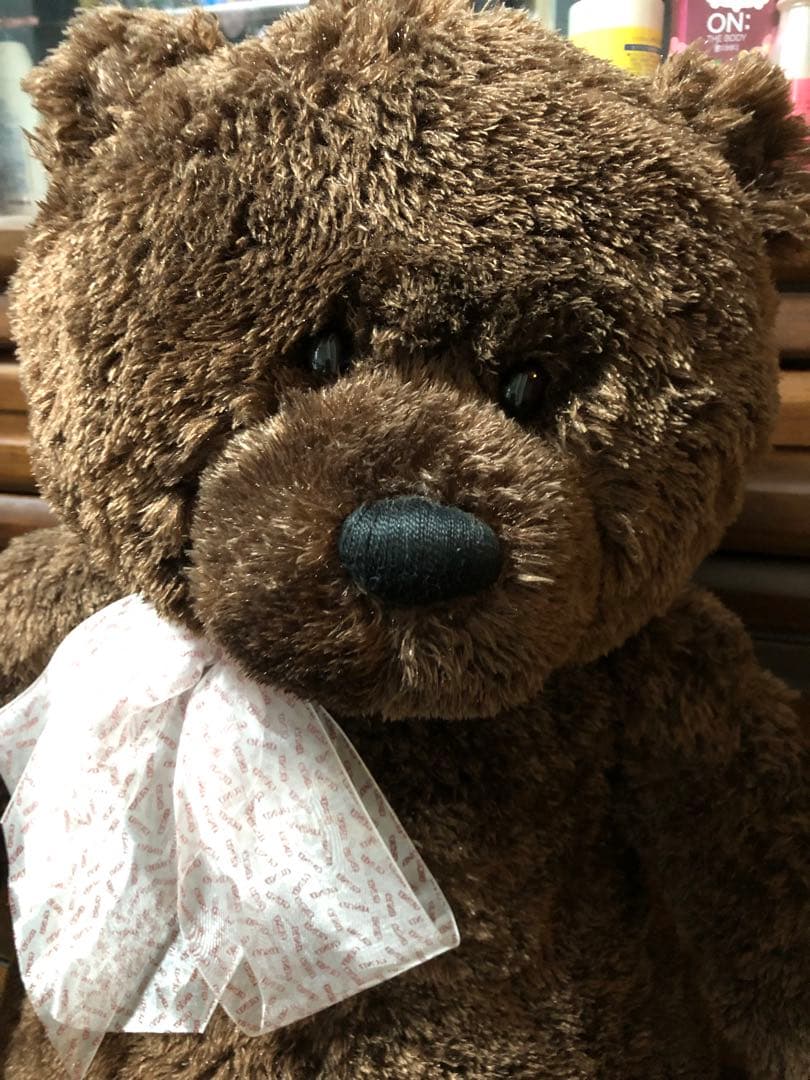 リボーンドール⭐️のお友達にも⭐️テディベア⭐️大きなベア⭐️ぬいぐるみ
