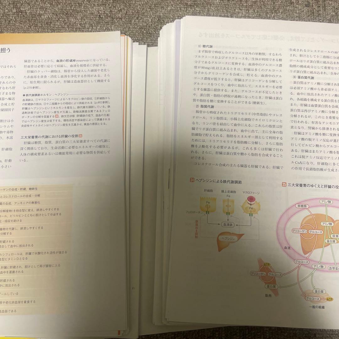 裁断済　人体の正常構造と機能 第5版　シリアルコード未使用