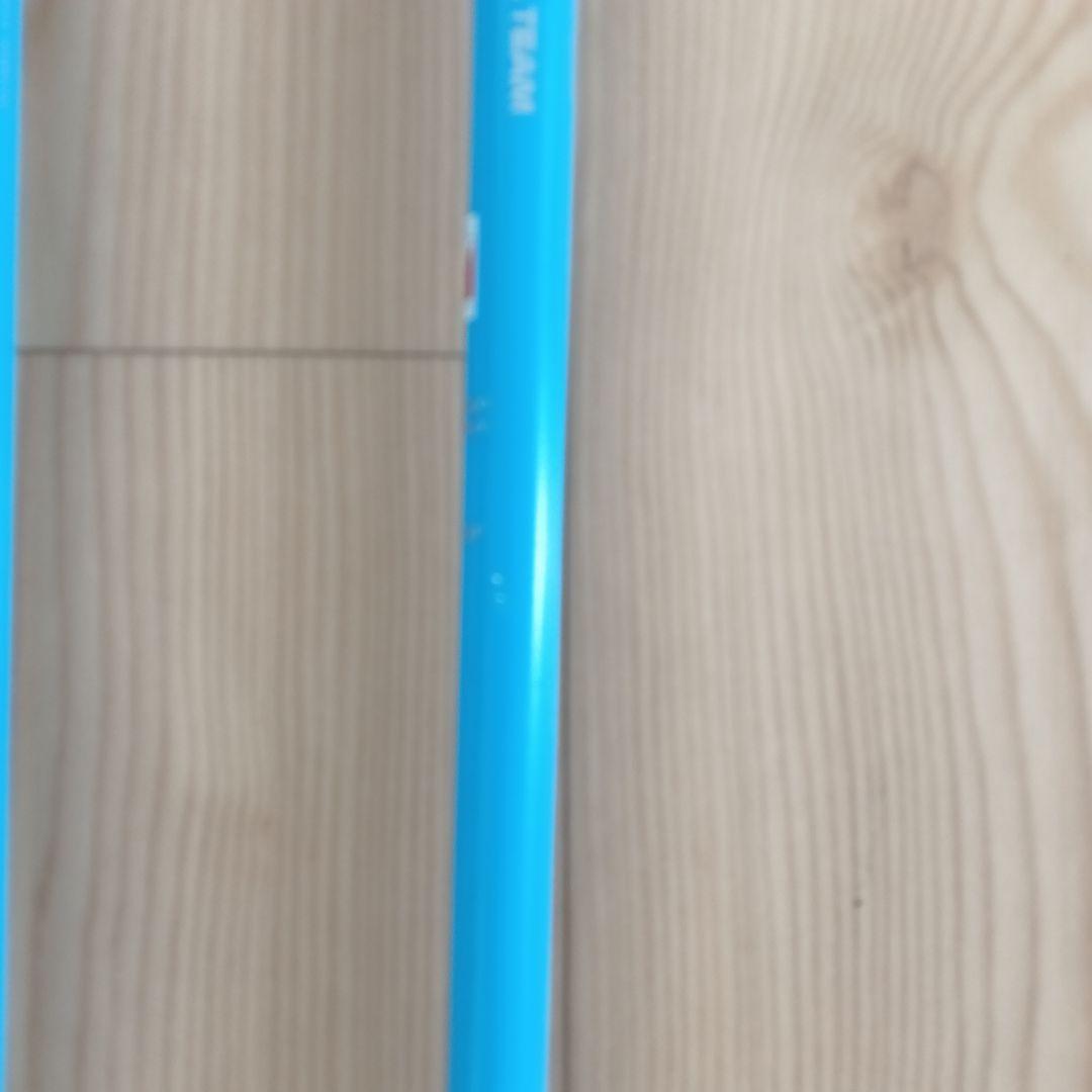 2025 GABEL ガベル SLD-R スキー　ストック　長さカットOK