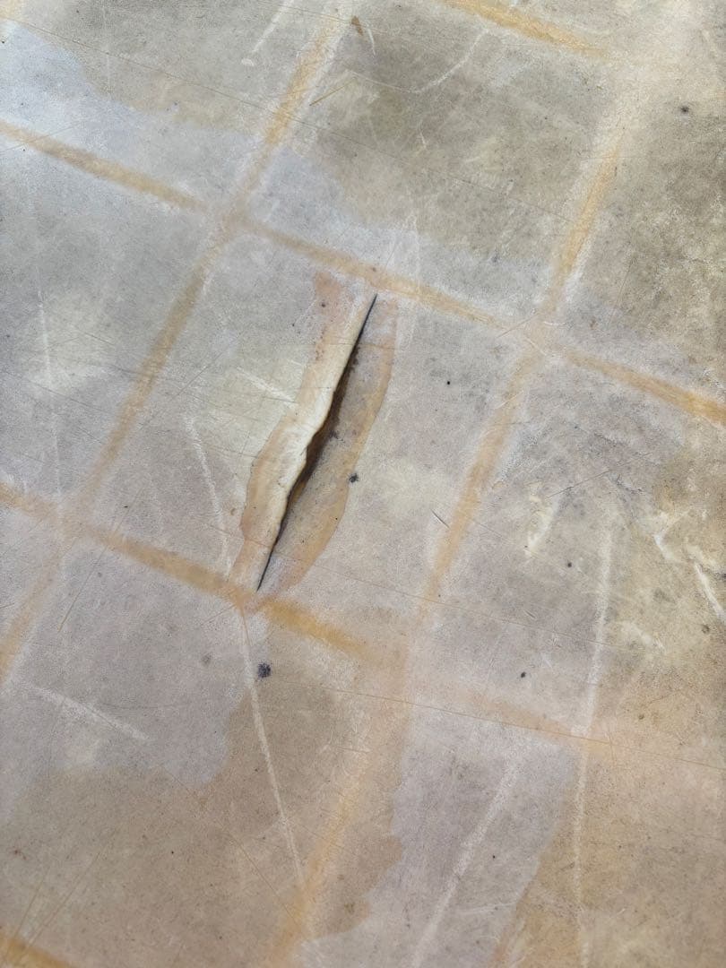 ジャンボックス1000ℓ サンコー　水槽　養殖　イケス　ジャンク　大型タンク