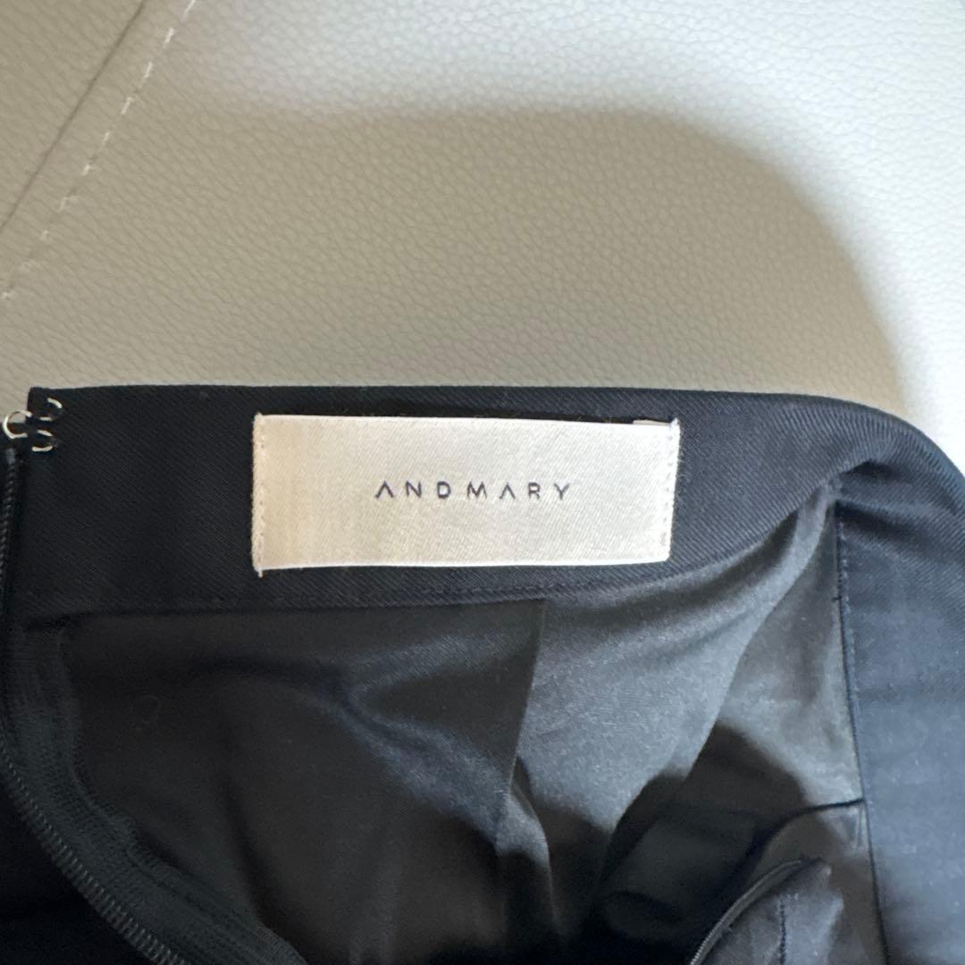 amdmary アンドマリー　Chuchu flare mini skirt M