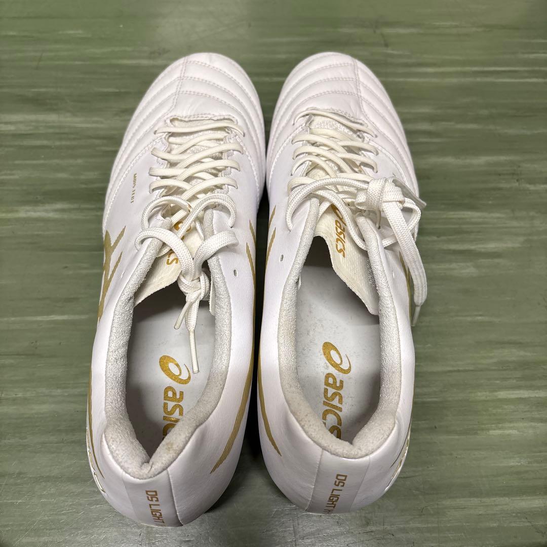 【新品特価】限定　アシックス　DSライト X-FLY PRO ST 28cm