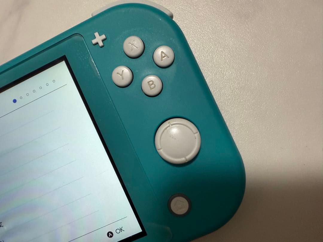 スイッチライト ジャンク品