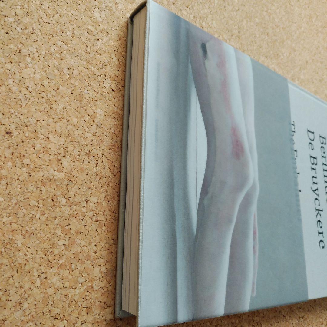 Berlinde De Bruyckere　The Embalmer