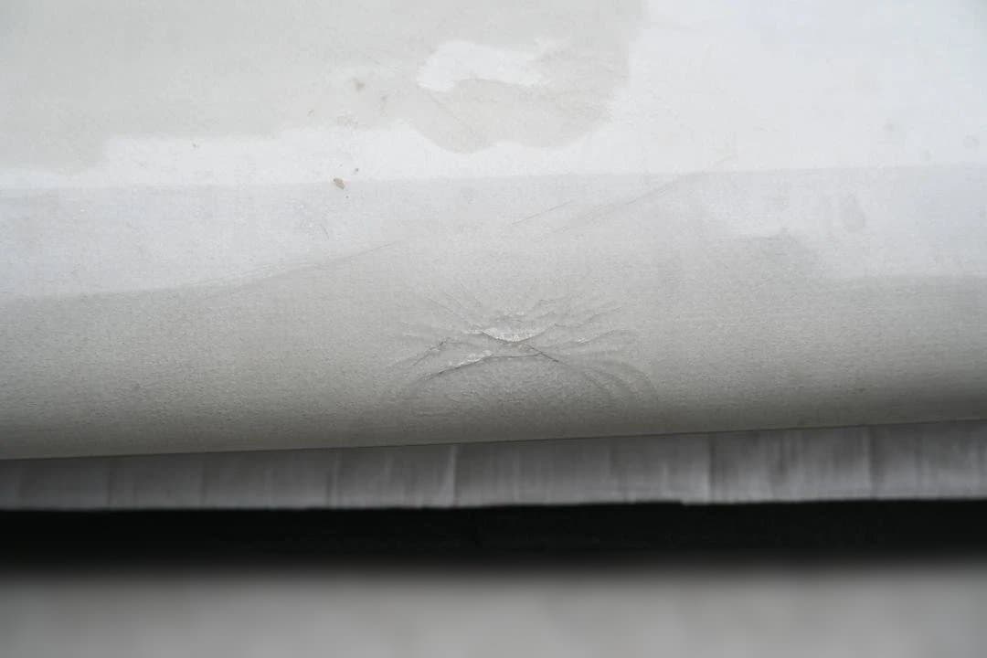 サーフィン・ボディボード Cream FAT CAT