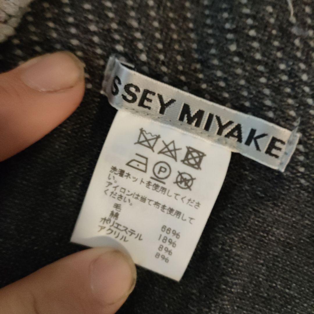 z20 超美品　イッセイミヤケ　ISSEY MIYAKE　ストール　肩掛け