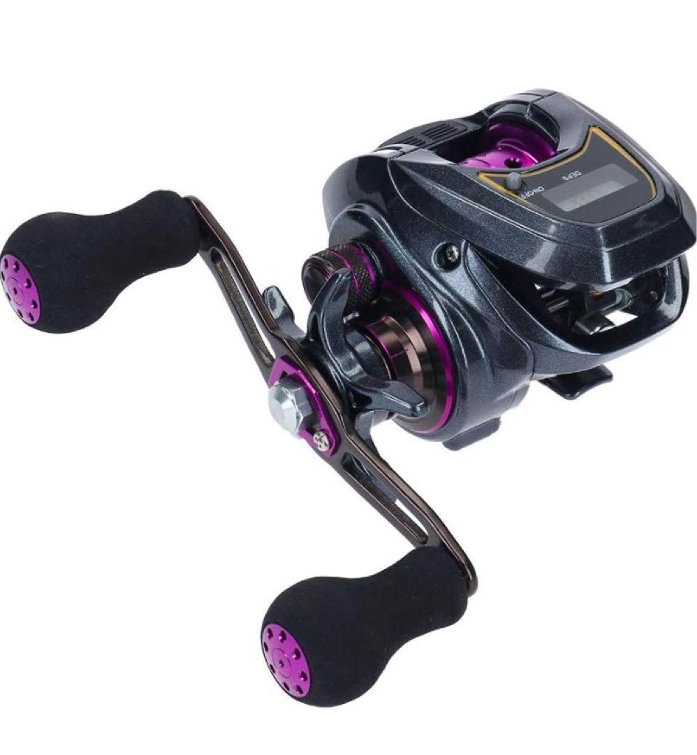 ダイワ(DAIWA) カウンター付ベイトリール LIGHT SW X IC