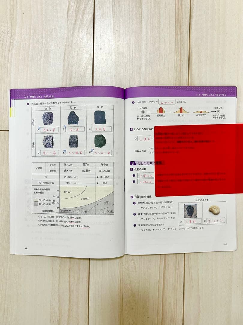 浜学園 理科 5年 6年 マスターコース ★日能研関西生にもおすすめ★2024年