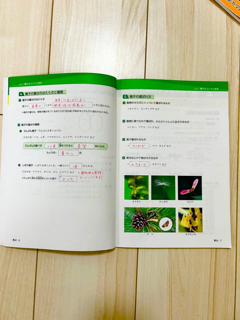 浜学園 理科 5年 6年 マスターコース ★日能研関西生にもおすすめ★2024年