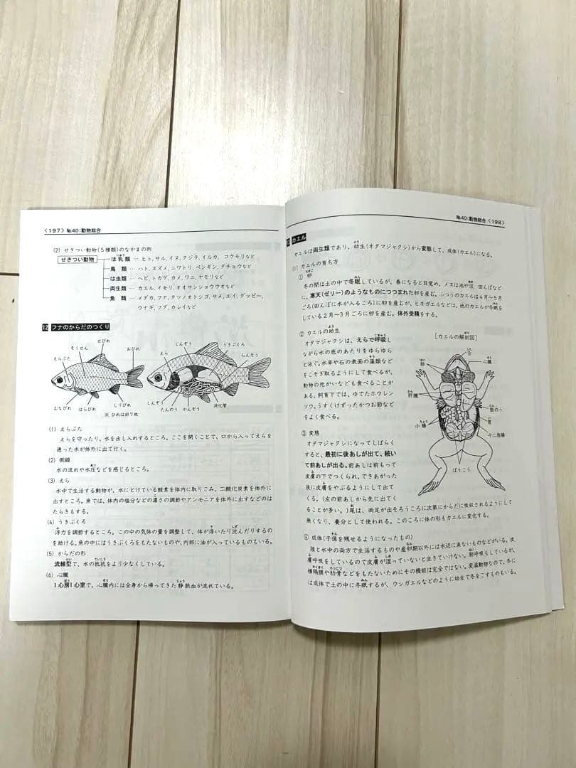 浜学園 理科 5年 6年 マスターコース ★日能研関西生にもおすすめ★2024年