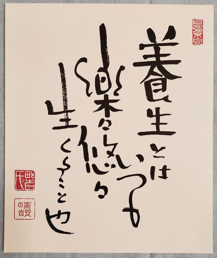 野口晴哉　書「養生とはいつも楽々悠々生くること也」