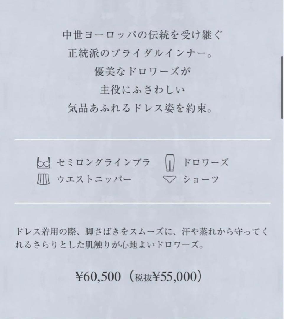 【美品】セモアブライダルインナー F65 58 M