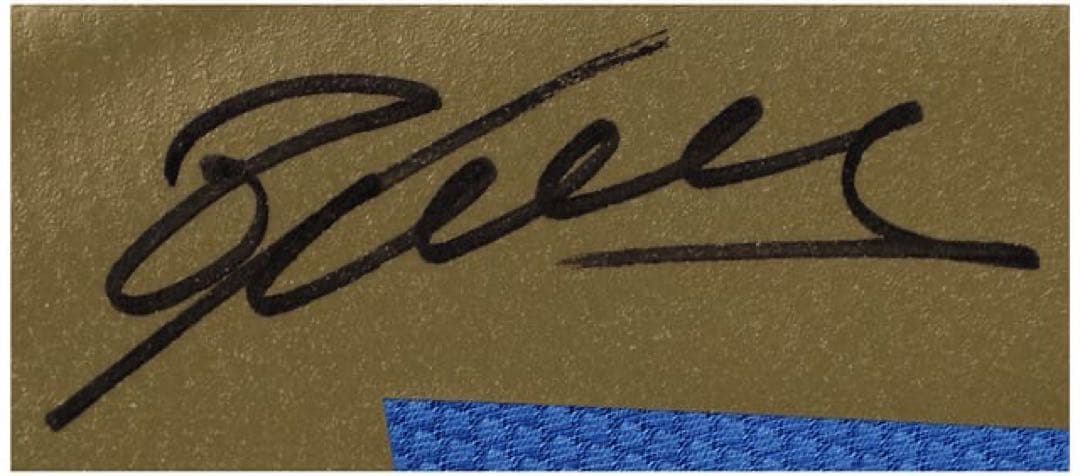 Puma イタリア代表 カンナバーロ サイン入りジャージ ベケット鑑定済