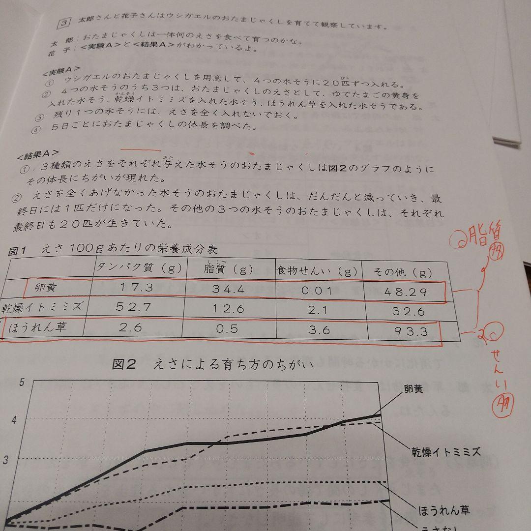 ena 小6 後期日曜特訓 富士中コース