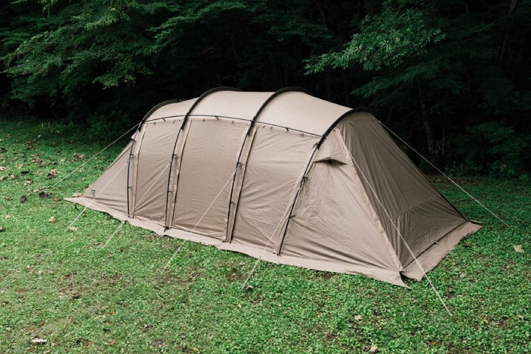 ダイスケさん専用サバティカル　アルニカ