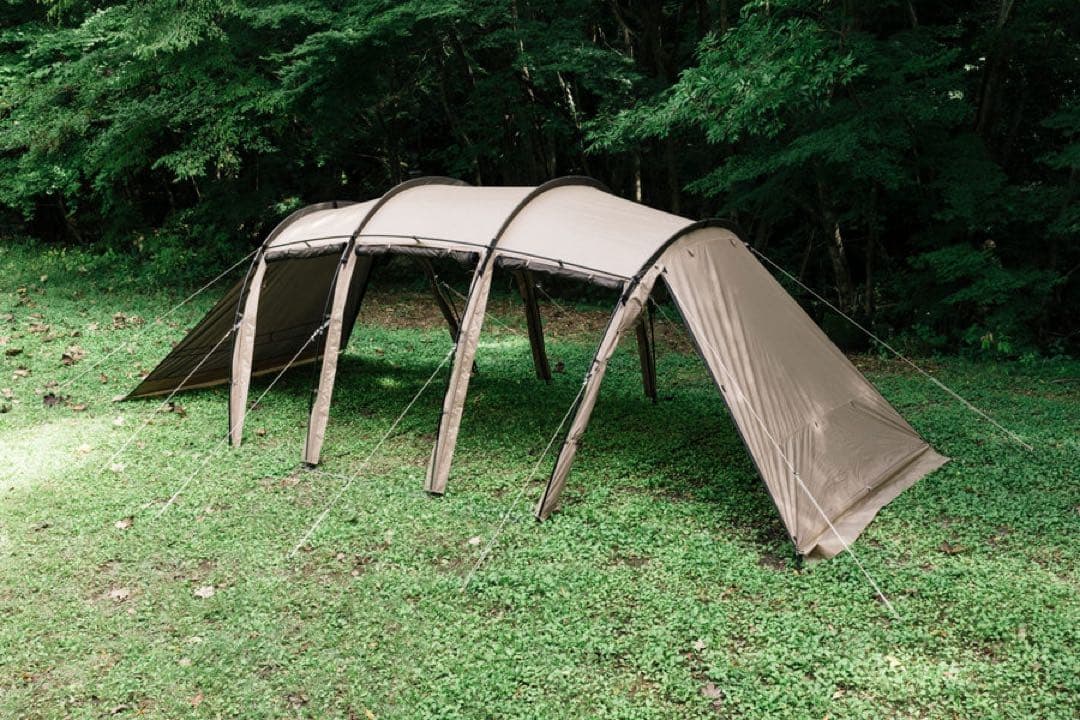 ダイスケさん専用サバティカル　アルニカ