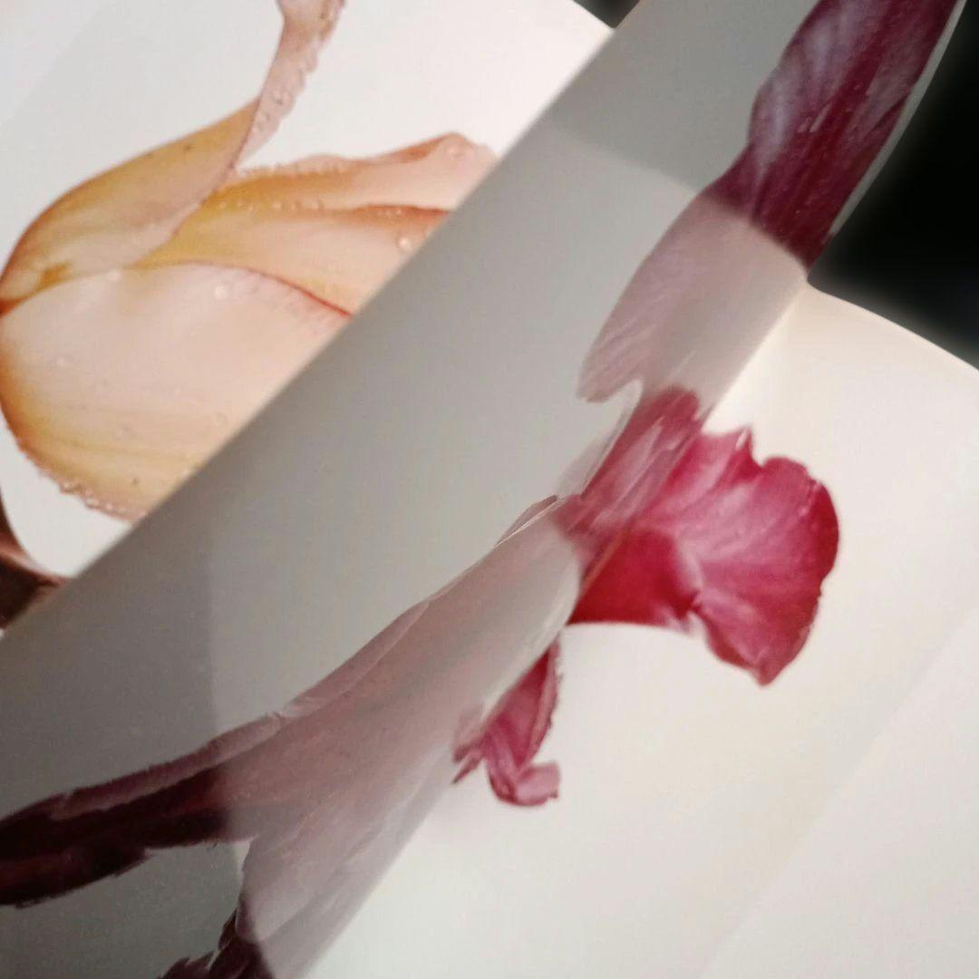 FLOWERS Irving Penn　初版 海外ライブラリー蔵書印等の難あり