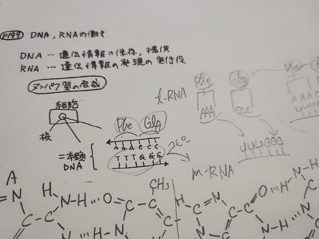 駿台の24年最新石川先生による深く学べる有機化学講義プリント　鉄緑会　河合塾