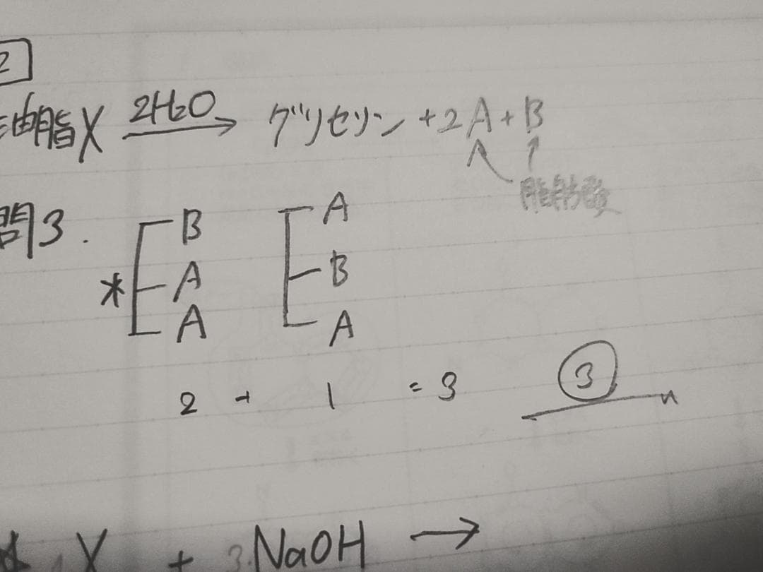 駿台の24年最新石川先生による深く学べる有機化学講義プリント　鉄緑会　河合塾