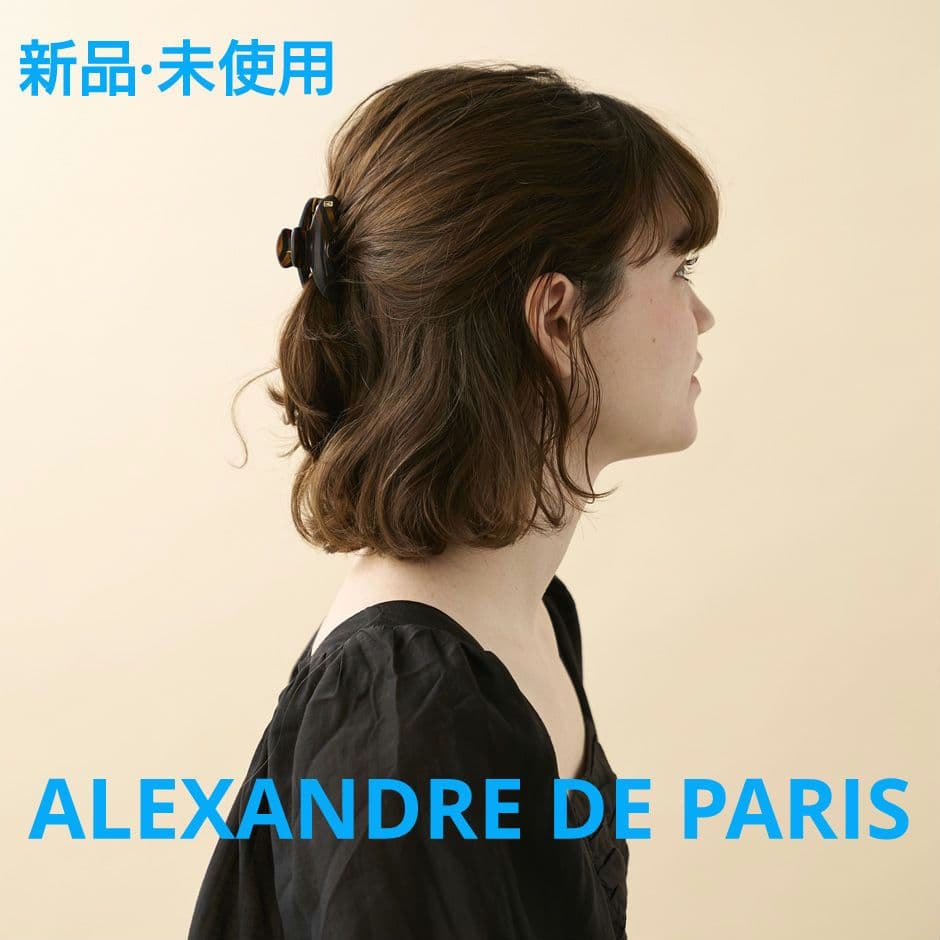 【新品未使用】ALEXANDREDEPARIS CLASSE AFFAIRES