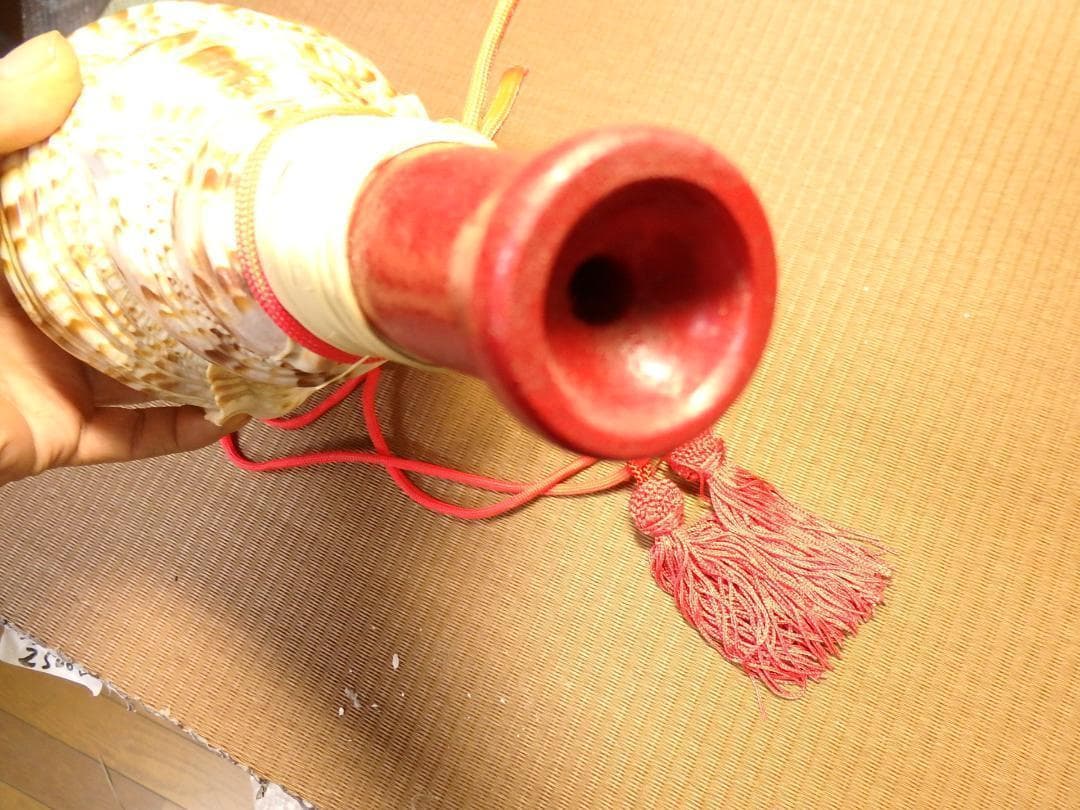 法螺貝 約37㎝ 木製歌口,赤紐付　新品　 MH-424