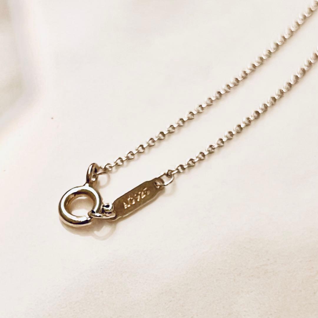 リターン トゥ ティファニー ミニ ハート ダブル タグ ネックレス 袋付き