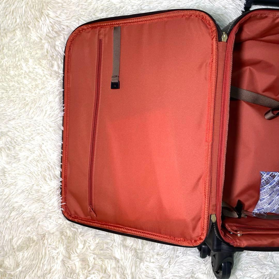 SWANY スワニー　クロコ型押し　キャリーバッグ　ダークブラウン